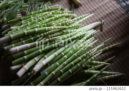 皮をむいた根曲がり竹 115962622
