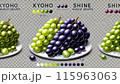 旬のぶどう 115963063