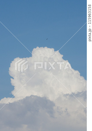 white thunderclouds in blue sky. summer cumulus clouds before rain. Beautiful view of nature 115963158