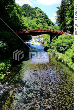 初夏・日光の清流… 水量豊かな大谷川と神橋・二荒山神社 115963175