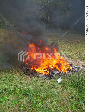 たき火・燃える炎 115963215