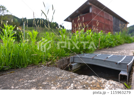 240506瓜巣z129 115963279