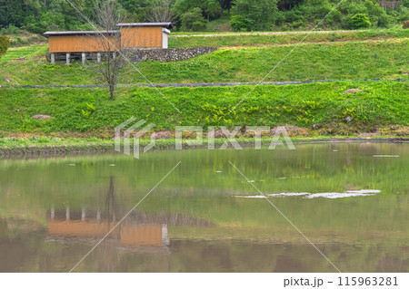 240506瓜巣z119 115963281