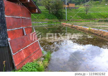 240506瓜巣z090 115963282