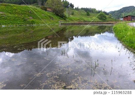 240506瓜巣z065 240506瓜巣z065 115963288