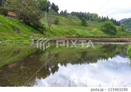 240506瓜巣z062 115963290