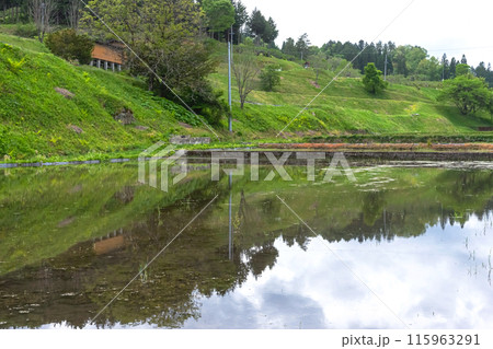 240506瓜巣z060 115963291