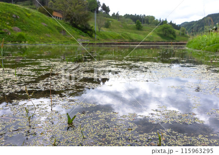 240506瓜巣z032 240506瓜巣z032 115963295