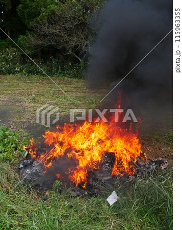 たき火・燃える炎 たき火・燃える炎 115963355