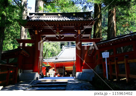 御縁を求め初夏の日光へ… 新緑の二荒山神社 115963402