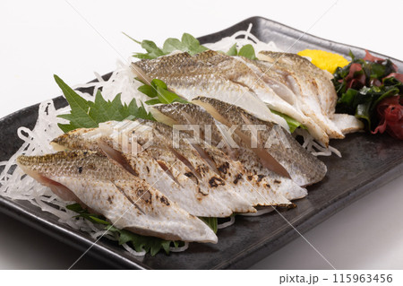 ［鳥取県産］かます（お造り　炙り） 115963456