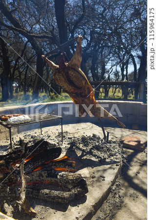 Lamb on the spit, cooked with the traditional Argentine method, La Pampa province, Patagonia, Argentina. 115964175