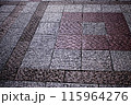 石のタイルの歩道 115964276