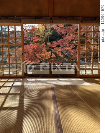 和室の格子から覗く紅葉 115964679