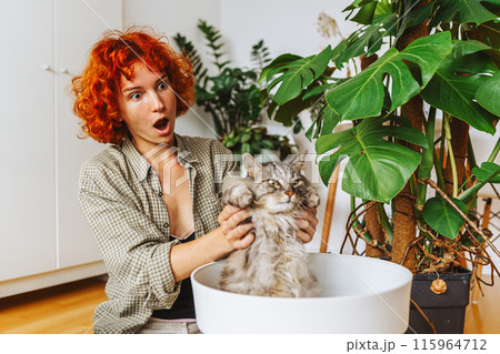 home gardening with your pet. domestic cat sitting inside a flowerpot 115964712