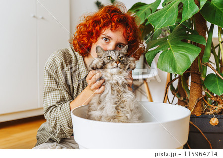 home gardening with your pet. domestic cat sitting inside a flowerpot 115964714