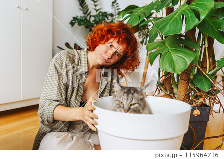 home gardening with your pet. domestic cat sitting inside a flowerpot 115964716