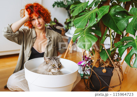 home gardening with your pet. domestic cat sitting inside a flowerpot 115964723