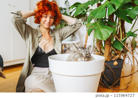 home gardening with your pet. domestic cat sitting inside a flowerpot home gardening with your pet. domestic cat sitting inside a flowerpot 115964727