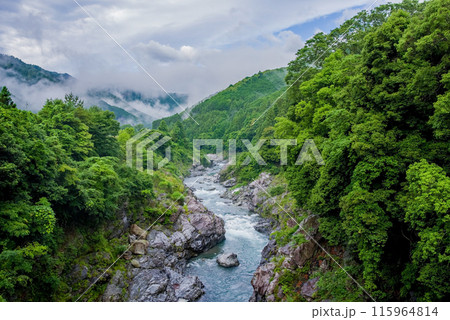夏の渓谷美【領内峡】三重県多気郡大台町 夏の渓谷美【領内峡】三重県多気郡大台町 115964814
