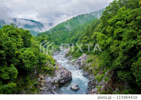 夏の渓谷美【領内峡】三重県多気郡大台町 夏の渓谷美【領内峡】三重県多気郡大台町 115964816