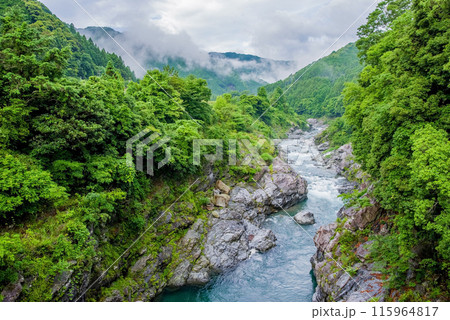 夏の渓谷美【領内峡】三重県多気郡大台町 115964817