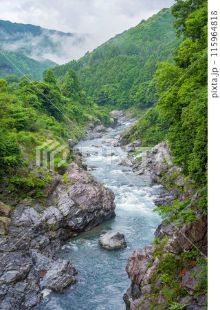 夏の渓谷美【領内峡】三重県多気郡大台町 夏の渓谷美【領内峡】三重県多気郡大台町 115964818