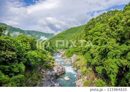 夏の渓谷美【領内峡】三重県多気郡大台町 115964820