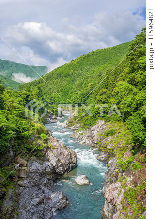 夏の渓谷美【領内峡】三重県多気郡大台町 115964821