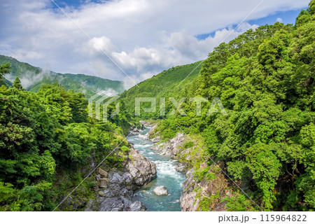 夏の渓谷美【領内峡】三重県多気郡大台町 夏の渓谷美【領内峡】三重県多気郡大台町 115964822