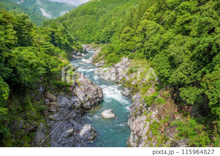 夏の渓谷美【領内峡】三重県多気郡大台町 夏の渓谷美【領内峡】三重県多気郡大台町 115964827