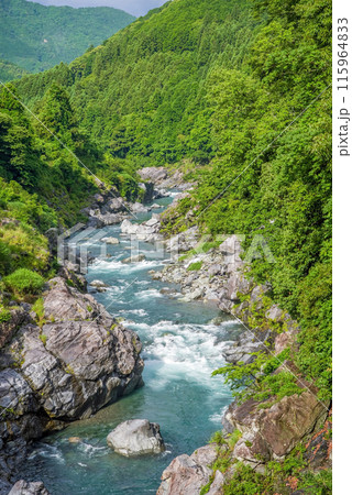 夏の渓谷美【領内峡】三重県多気郡大台町 115964833