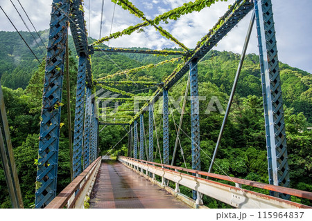 【領内橋】三重県大台町「領内峡」フォトスポット 【領内橋】三重県大台町「領内峡」フォトスポット 115964837
