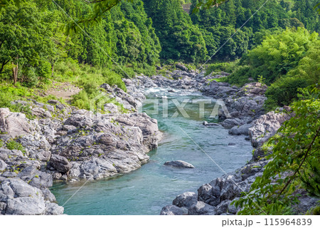 夏の渓谷美【宮川上流】三重県多気郡大台町 夏の渓谷美【宮川上流】三重県多気郡大台町 115964839
