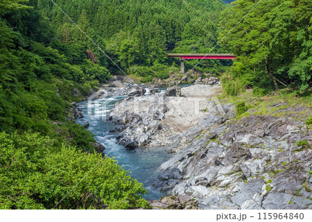夏の渓谷美【宮川上流】三重県多気郡大台町 115964840