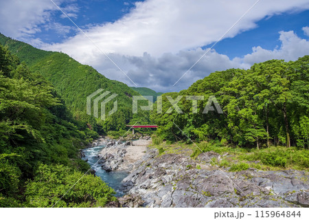 夏の渓谷美【宮川上流】三重県多気郡大台町 夏の渓谷美【宮川上流】三重県多気郡大台町 115964844