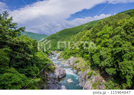 夏の渓谷美【領内峡】三重県多気郡大台町 115964847