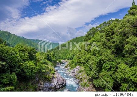 夏の渓谷美【領内峡】三重県多気郡大台町 夏の渓谷美【領内峡】三重県多気郡大台町 115964848