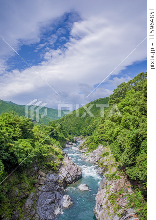 夏の渓谷美【領内峡】三重県多気郡大台町 115964851