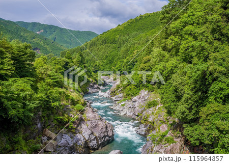 夏の渓谷美【領内峡】三重県多気郡大台町 115964857