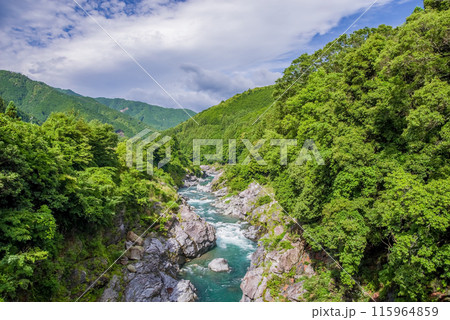 夏の渓谷美【領内峡】三重県多気郡大台町 夏の渓谷美【領内峡】三重県多気郡大台町 115964859