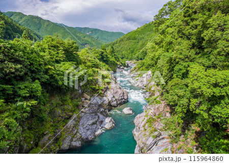 夏の渓谷美【領内峡】三重県多気郡大台町 夏の渓谷美【領内峡】三重県多気郡大台町 115964860