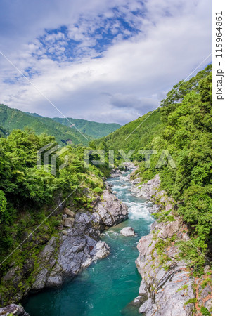 夏の渓谷美【領内峡】三重県多気郡大台町 115964861
