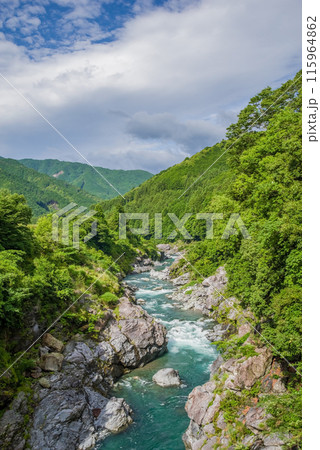 夏の渓谷美【領内峡】三重県多気郡大台町 115964862