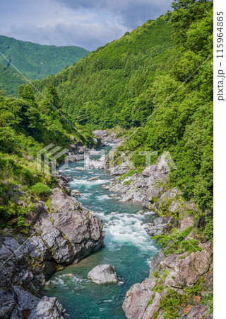夏の渓谷美【領内峡】三重県多気郡大台町 115964865