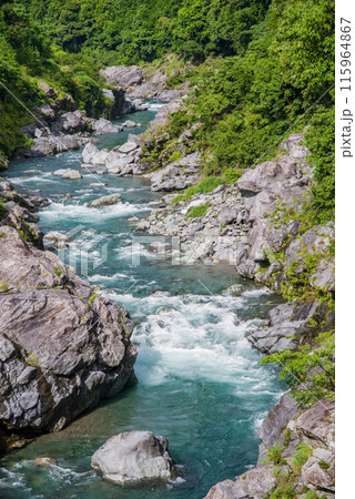 夏の渓谷美【領内峡】三重県多気郡大台町 115964867