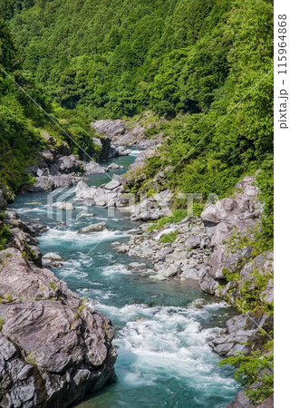 夏の渓谷美【領内峡】三重県多気郡大台町 夏の渓谷美【領内峡】三重県多気郡大台町 115964868
