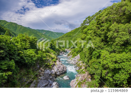 夏の渓谷美【領内峡】三重県多気郡大台町 夏の渓谷美【領内峡】三重県多気郡大台町 115964869