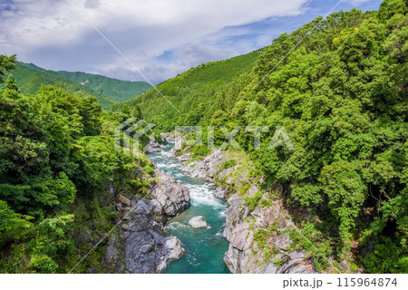 夏の渓谷美【領内峡】三重県多気郡大台町 115964874