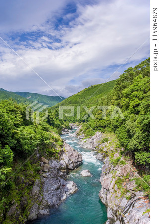 夏の渓谷美【領内峡】三重県多気郡大台町 115964879
